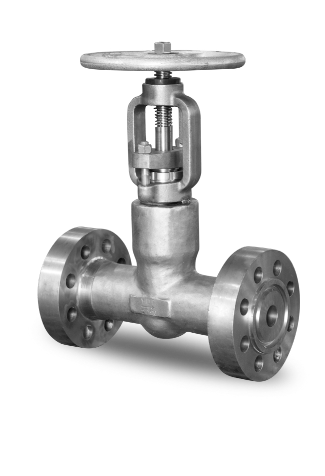 FORGED STEEL GLOBE VALVE