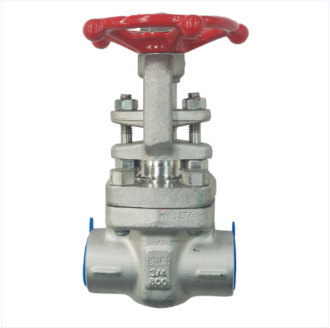 FORGED STEEL GATE VALVE